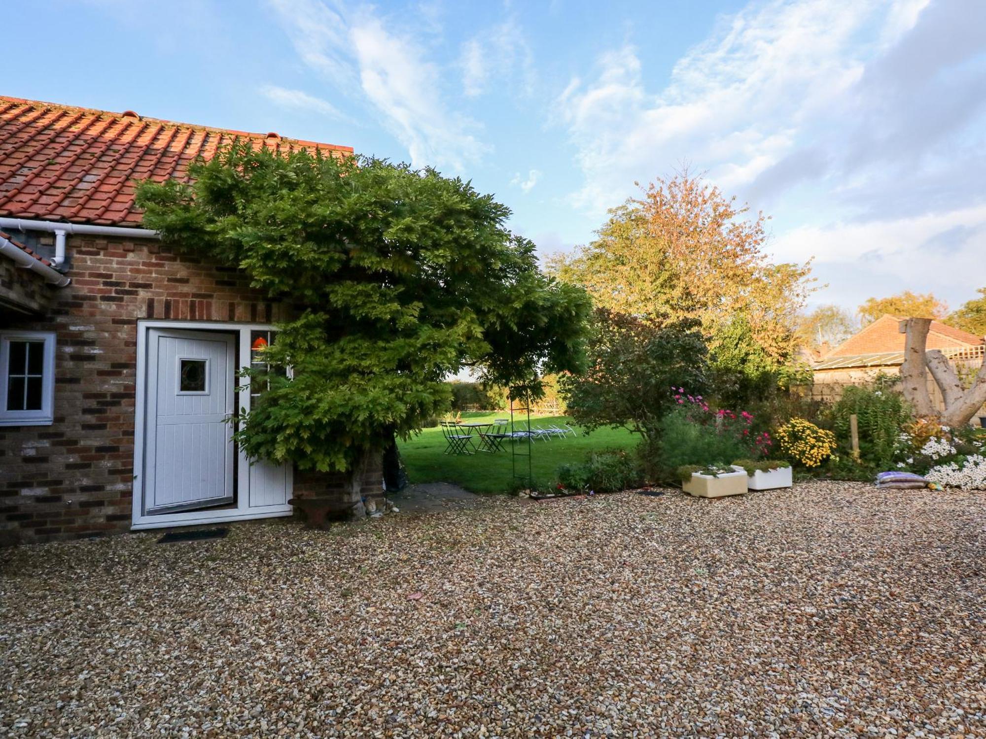 Wisteria Gayton (Norfolk)